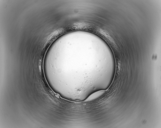 X0000093360691200711011208