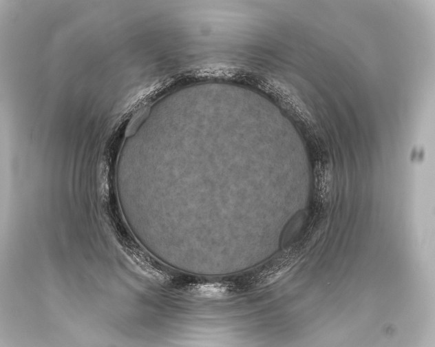 X0000093360692200711011208