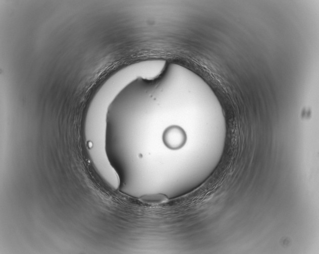 X0000093360695200711011208