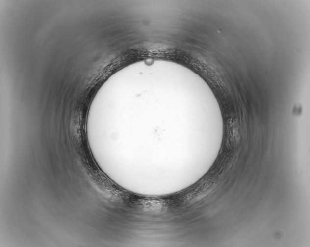 X0000093360698200711011208