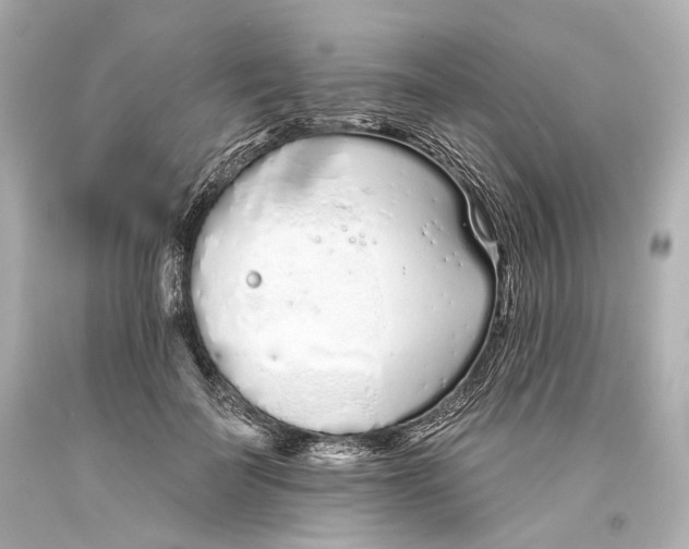 X0000093360699200711011208