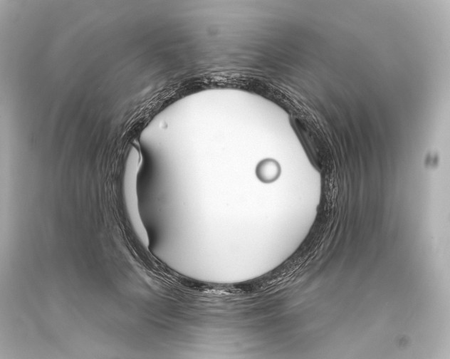 X0000093360703200711011208