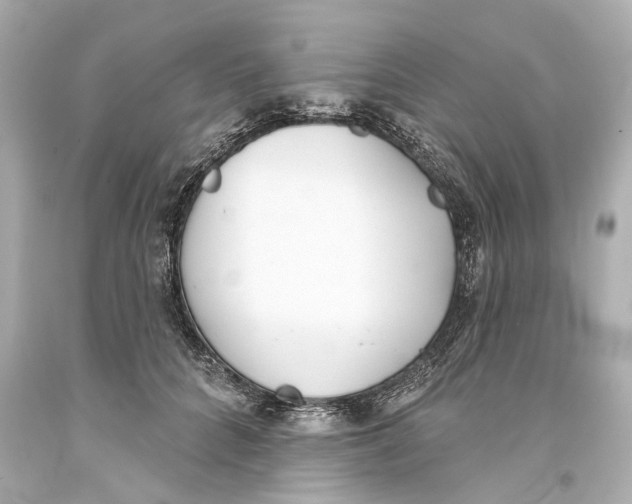 X0000093360704200711011208