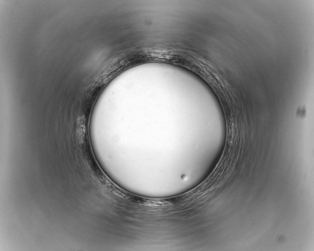 X0000093360707200711011208