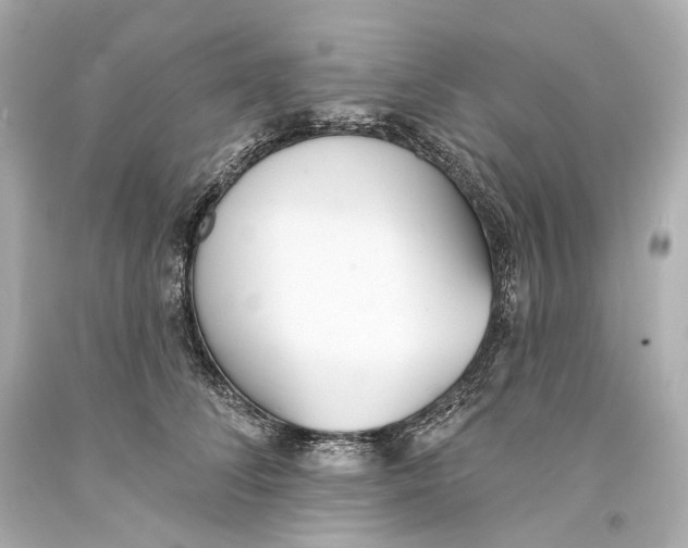 X0000093360708200711011208