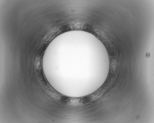 X0000093360709200711011208