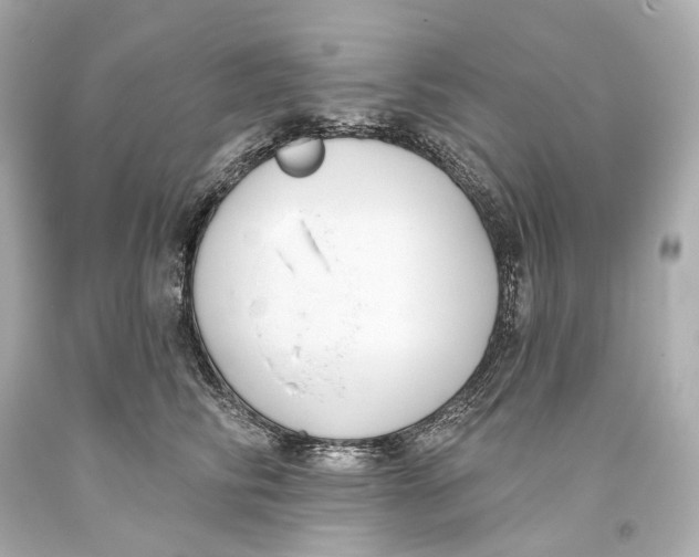 X0000093360710200711011208