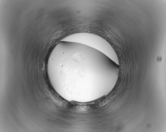 X0000093360711200711011208