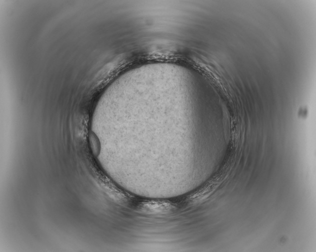 X0000093360712200711011208