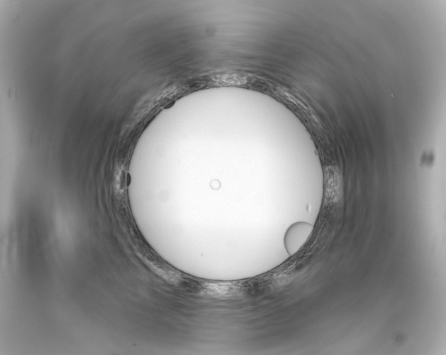 X0000093360713200711011208