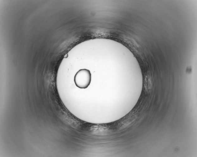 X0000093360714200711011208