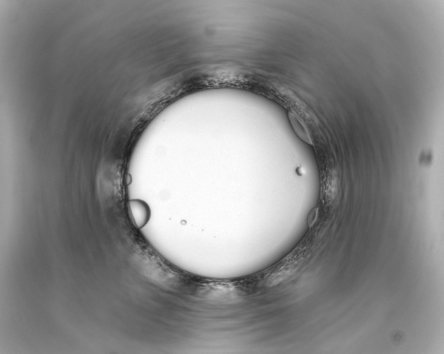 X0000093360715200711011208