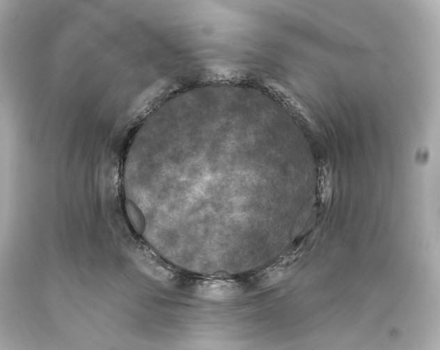 X0000093360716200711011208