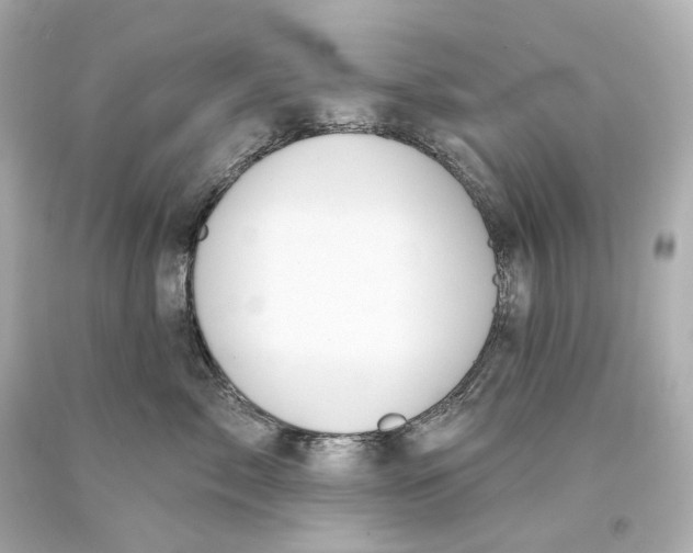 X0000093360717200711011208