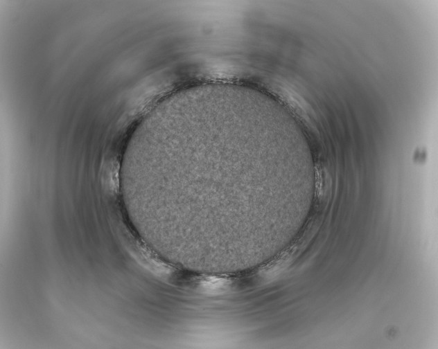 X0000093360718200711011208