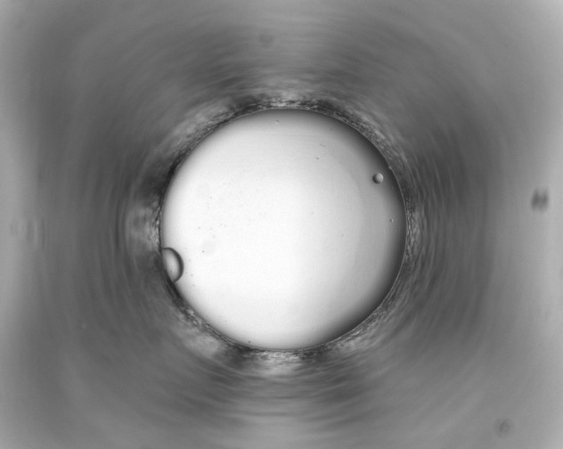 X0000093360719200711011208