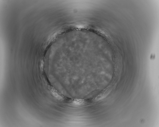 X0000093360720200711011208