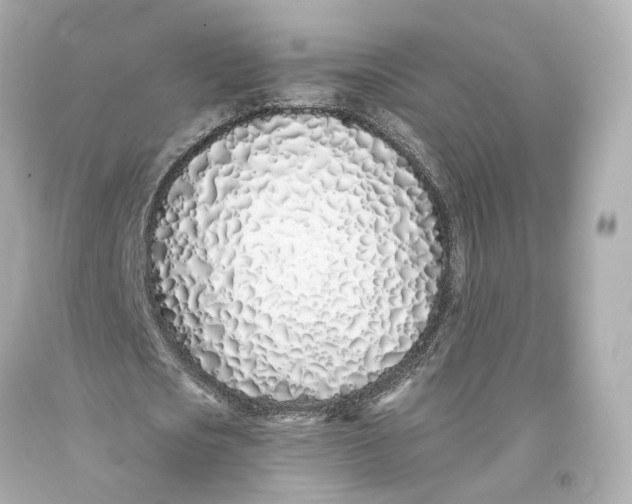 X0000093360721200711011207