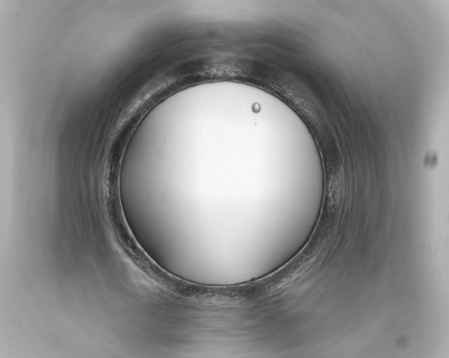 X0000093360722200711011207