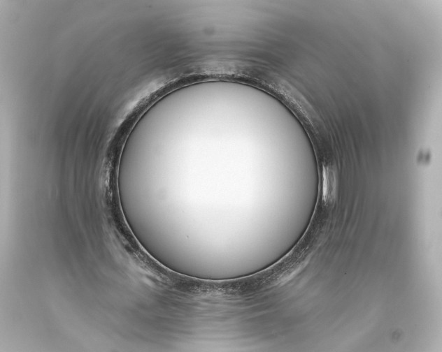 X0000093360723200711011207