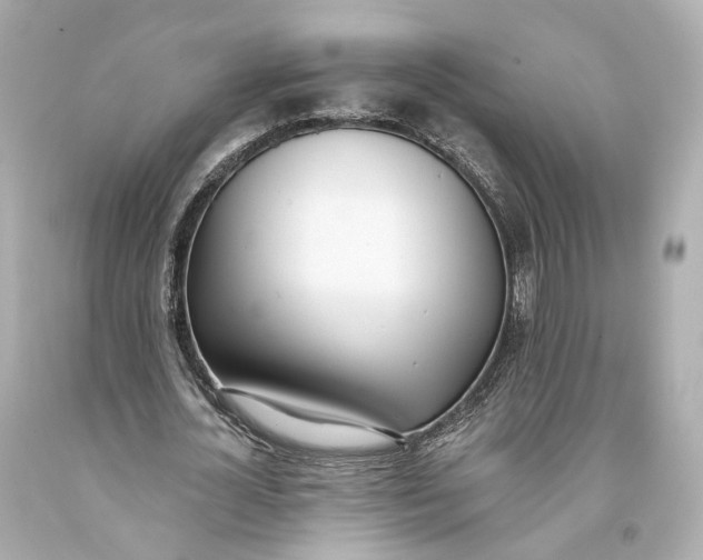 X0000093360724200711011207