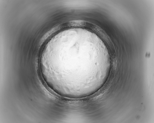 X0000093360725200711011207