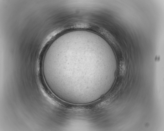 X0000093360726200711011207