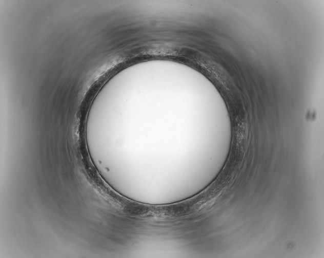 X0000093360727200711011207