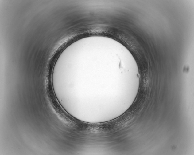 X0000093360728200711011207