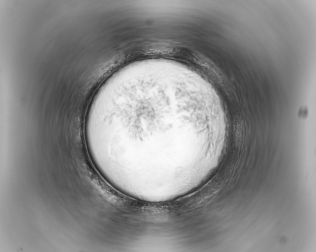 X0000093360729200711011207