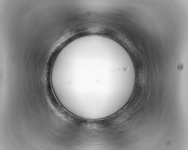 X0000093360730200711011207