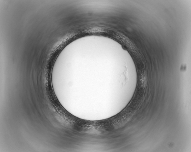 X0000093360732200711011207