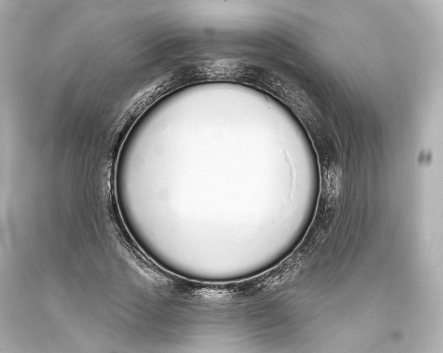 X0000093360733200711011207