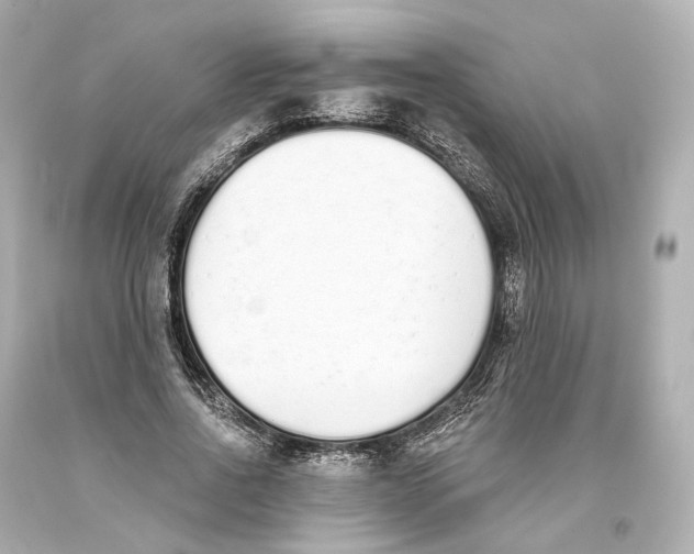 X0000093360734200711011207