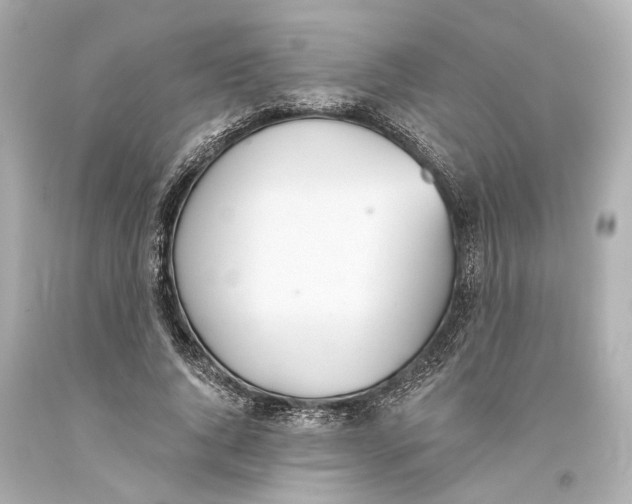 X0000093360736200711011207