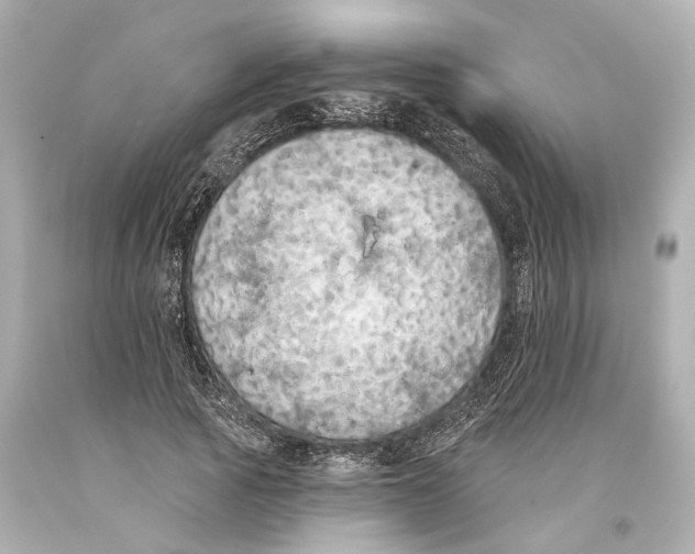 X0000093360737200711011207