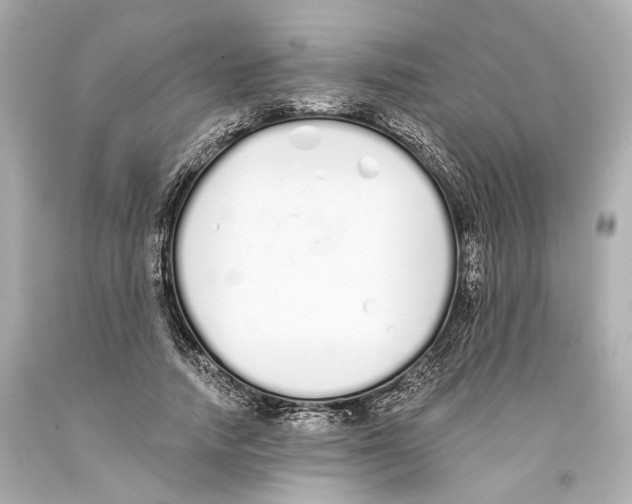 X0000093360738200711011207