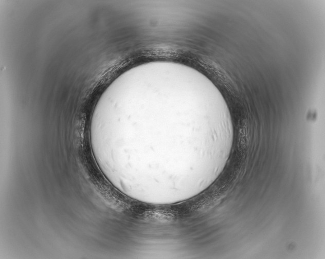 X0000093360739200711011207