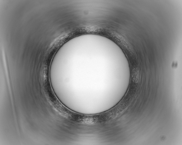 X0000093360740200711011207