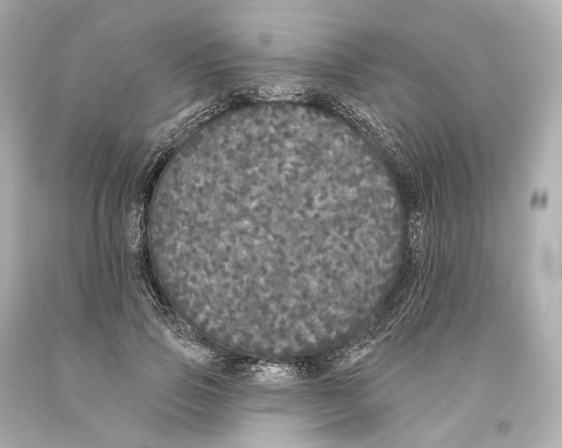 X0000093360741200711011207