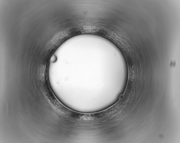 X0000093360742200711011207