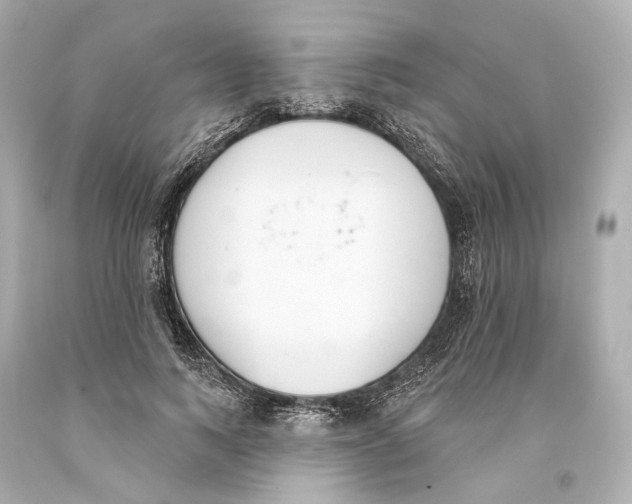 X0000093360743200711011207