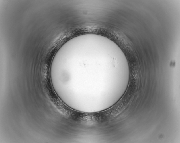 X0000093360744200711011207