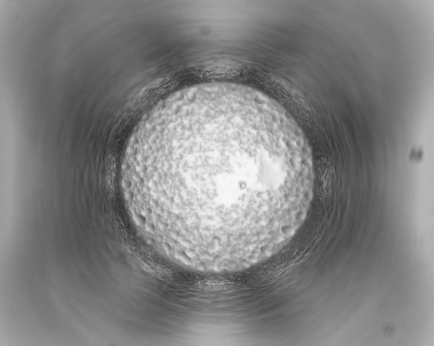 X0000093360745200711011207