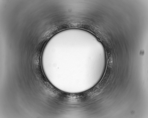 X0000093360746200711011207