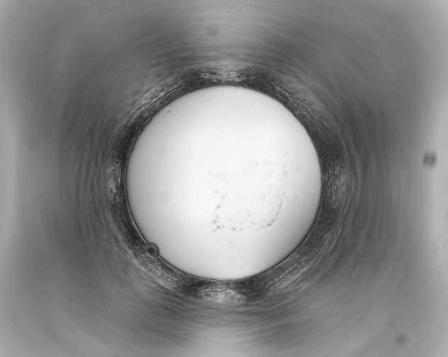 X0000093360747200711011207