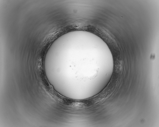 X0000093360748200711011207