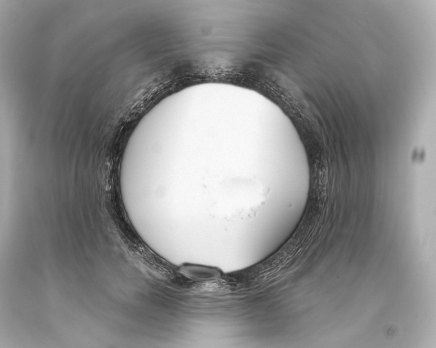 X0000093360750200711011207