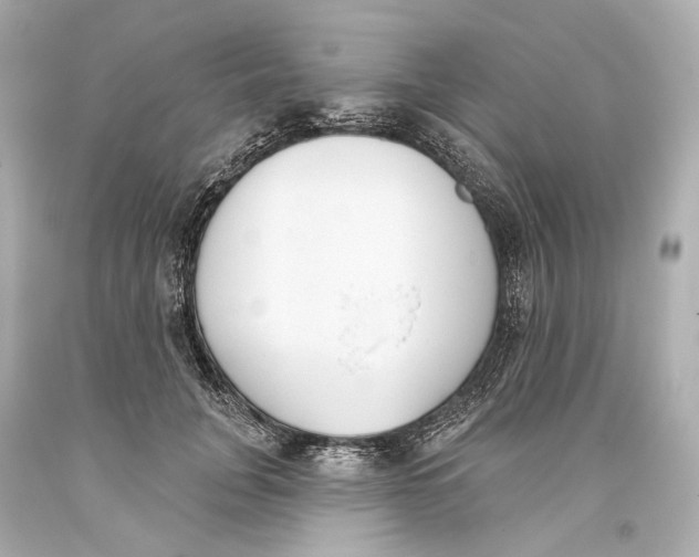 X0000093360751200711011207