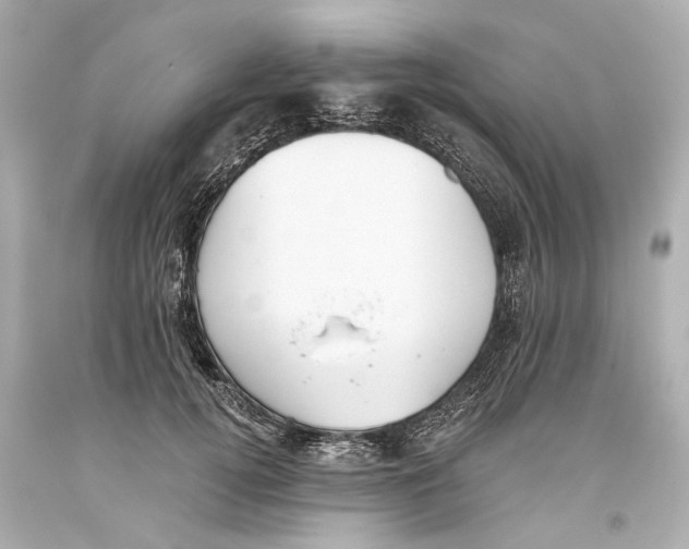 X0000093360752200711011207